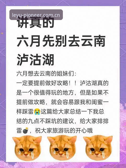 乐鱼APP教程避坑指南：从下载到登录的必备知识