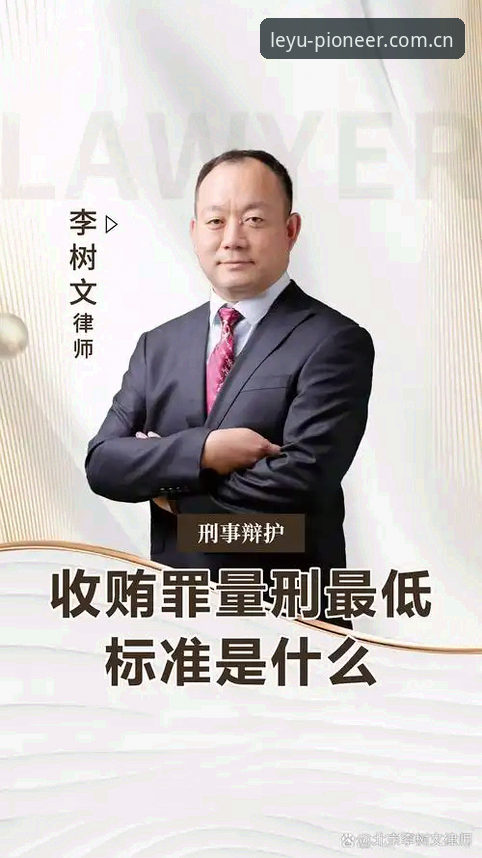 乐鱼兼容环境安装教程 从马宁的判罚哲学看世界杯执法官的实用生存法则